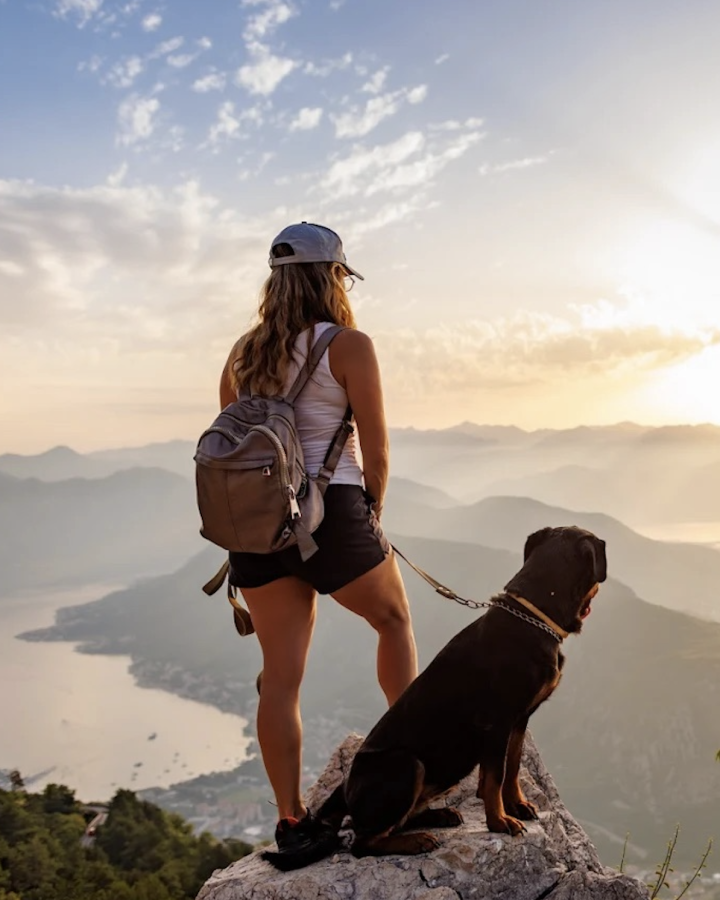 Trusted Housesitters